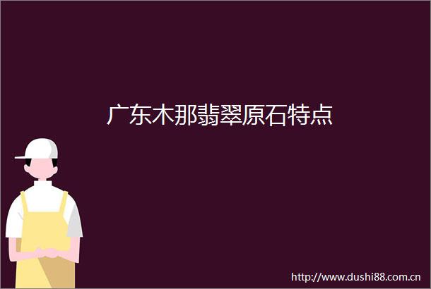 广东木那翡翠原石特点