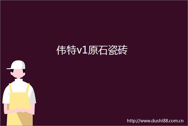 伟特v1原石瓷砖