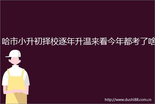 哈市小升初择校逐年升温来看今年都考了啥