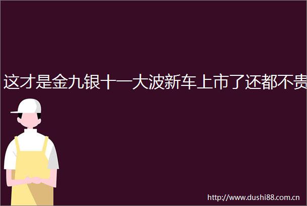这才是金九银十一新车上市了还都不贵