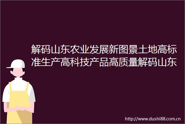解码山东农业发展新图景土地高标准生产高科技产品高质量解码山东农业发展新图景