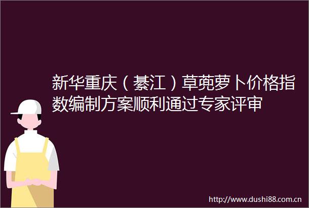 新华重庆（綦江）草蔸萝卜价格指数编制方案顺利通过专家评审