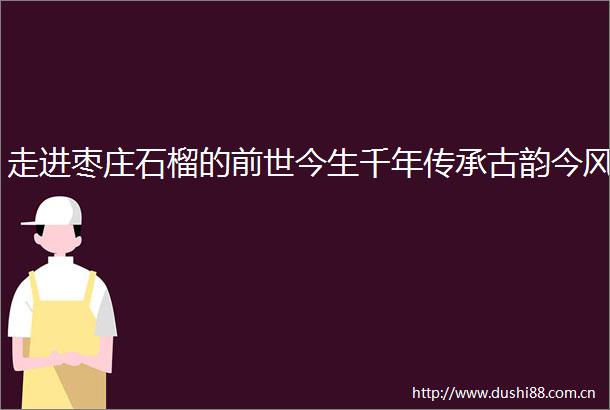 走进枣庄石榴的前世今生千年传承古韵今风
