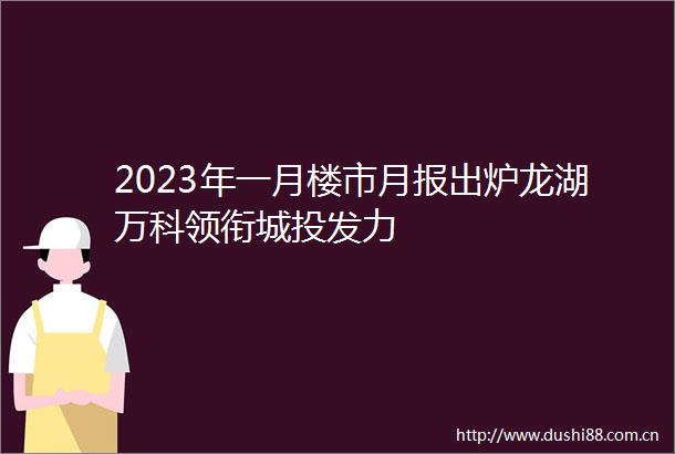 2023年一月楼市月报出炉龙湖万科领衔城投发力