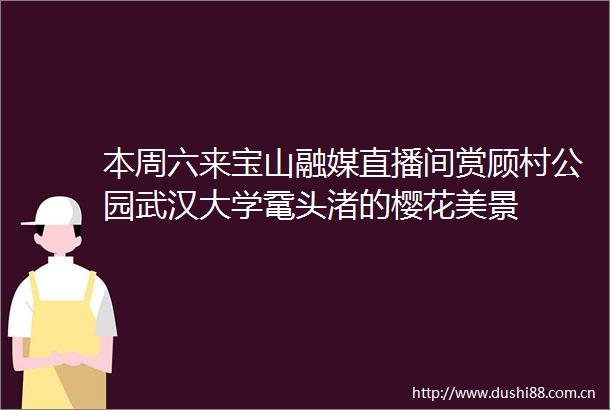 本周六来宝山融媒直播间赏顾村公园武汉大学鼋头渚的樱花美景