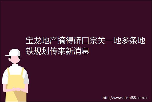 宝龙地产摘得硚口宗关一地多条地铁规划传来新消息