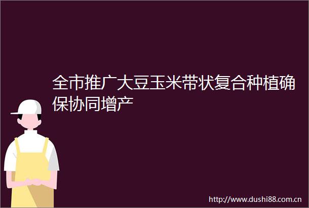 全市推广大豆玉米带状复合种植确保协同增产