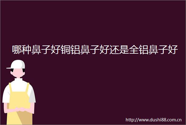 哪种鼻子好铜铝鼻子好还是全铝鼻子好