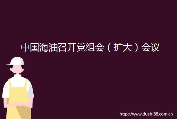 海油召开党组会（扩大）会议