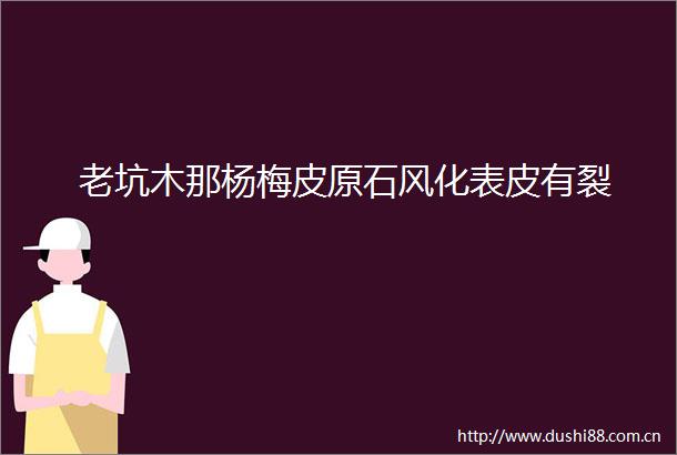 老坑木那杨梅皮原石风化表皮有裂