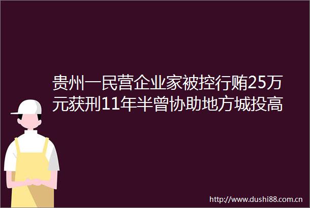 贵州一民营企业家被控25万元获刑11年半曾协助地方城投高息融资