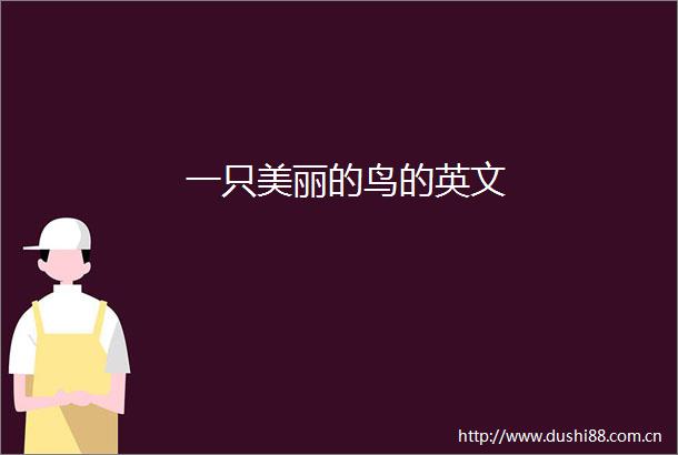 一只美丽的鸟的英文