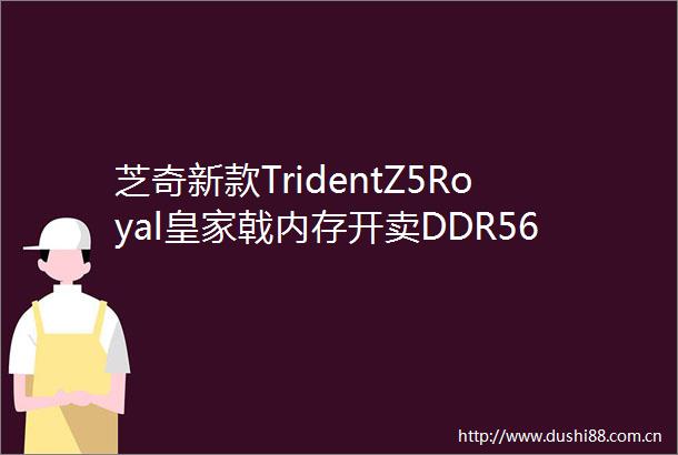 芝奇新款TridentZ5Royal皇家戟内存开卖DDR5640096GB套装首发3288元