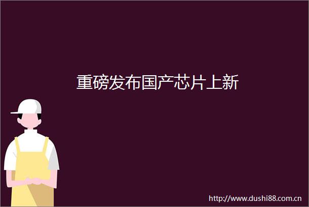 重磅发布国产芯片上新