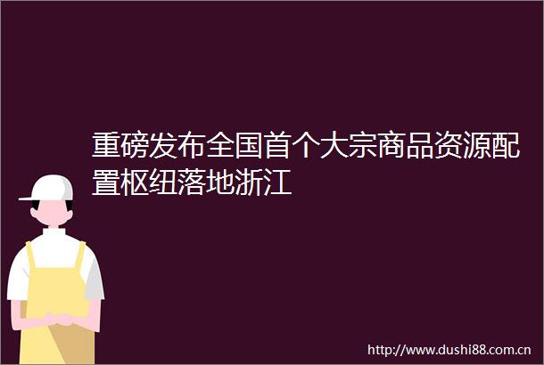 重磅发布全国首个大宗商品资源配置枢纽落地浙江