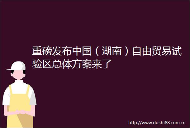 重磅发布（湖南）自由贸易试验区总体方案来了