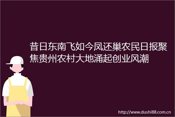昔日东南飞如今凤还巢农民日报聚焦贵州农村大地涌起创业风潮