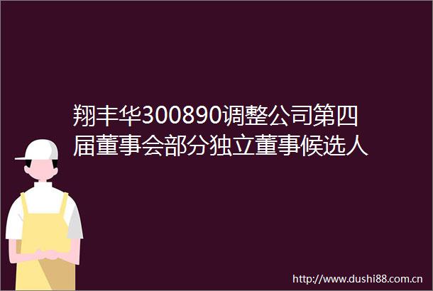 翔丰华300890调整公司第四届董事会部分独立董事候选人