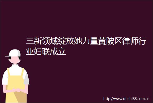 三新领域绽放她力量黄陂区律师行业妇联成立
