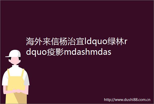 海外来信杨治宜ldquo绿林rdquo疫影mdashmdash危机时代的非常与日常