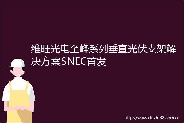 维旺光电至峰系列垂直光伏支架解决方案SNEC首发