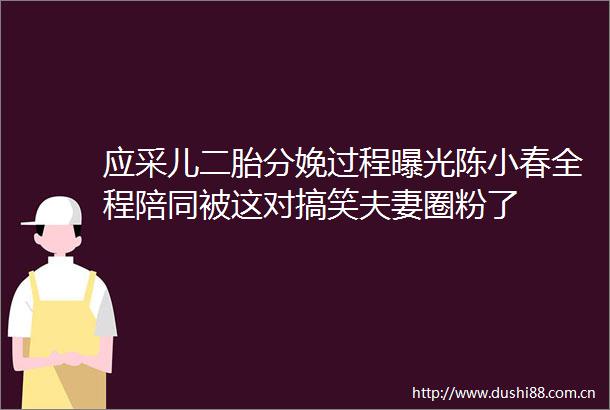 应采儿二胎分娩过程陈小春全程陪同被这对搞笑夫妻圈粉了
