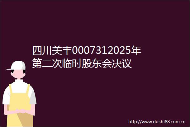 四川美丰0007312025年第二次临时股东会决议