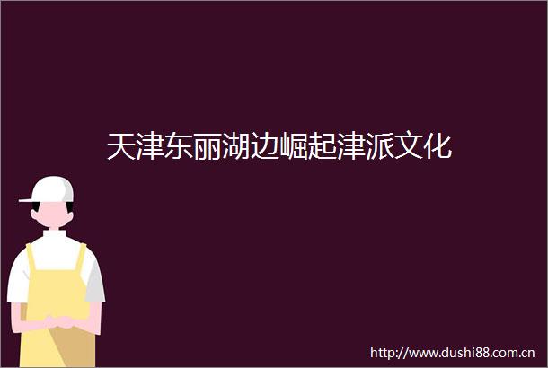 天津东丽湖边崛起津派文化