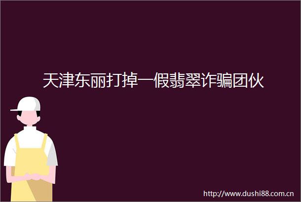 天津东丽打掉一假翡翠诈团伙