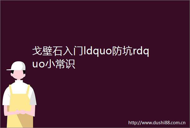 戈壁石入门ldquo防坑rdquo小常识