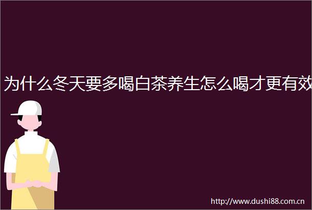 为什么冬天要多喝白茶养生怎么喝才更有效