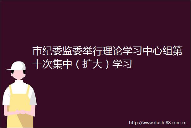 市纪委监委举行理论学习中心组第十次集中（扩大）学习