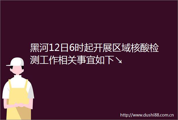 黑河12日6时起开展区域核酸检测工作相关事宜如下↘