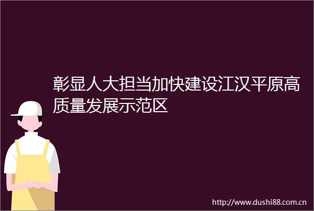 彰显人大担当加快建设江汉平原高质量发展示范区