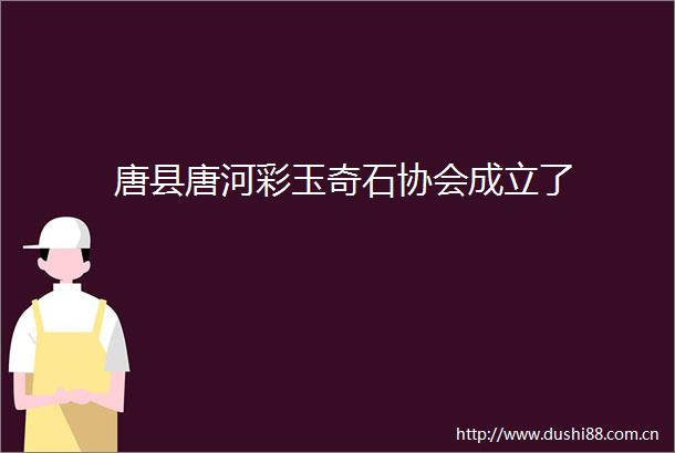 唐县唐河彩玉奇石协会成立了