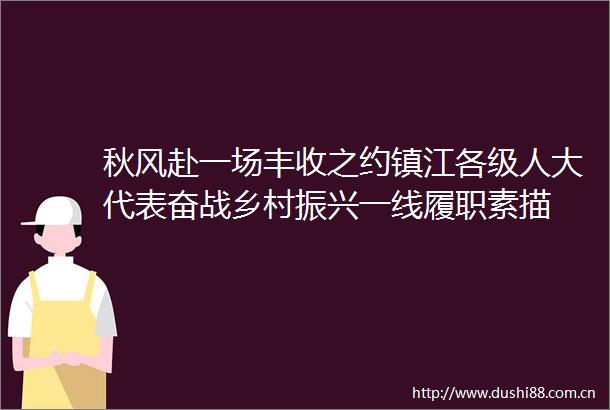 秋风赴一场丰收之约镇江各级人大代表奋战乡村振兴一线履职素描
