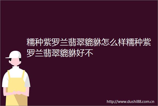 糯种紫罗兰翡翠貔貅怎么样糯种紫罗兰翡翠貔貅好不