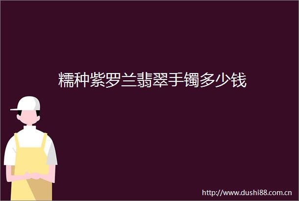 糯种紫罗兰翡翠手镯多少钱