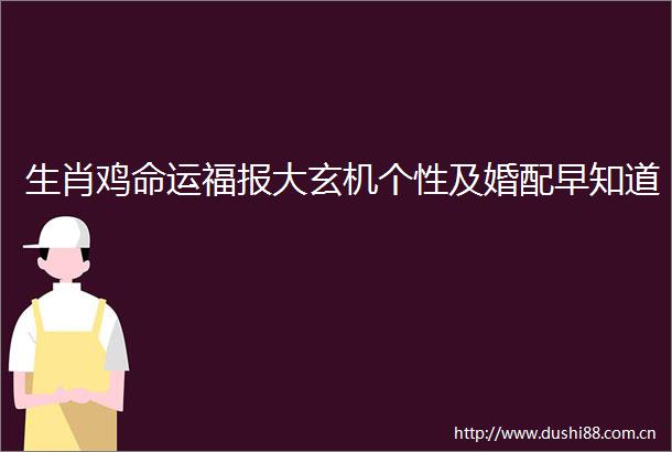 生肖鸡命运福报大玄机个性及婚配早知道