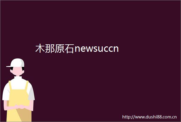 木那原石newsuccn