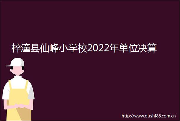 梓潼县仙峰小学校2022年单位决算
