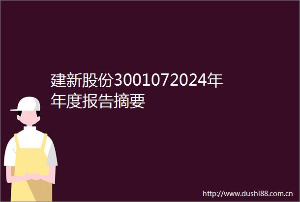 建新股份3001072024年年度报告摘要