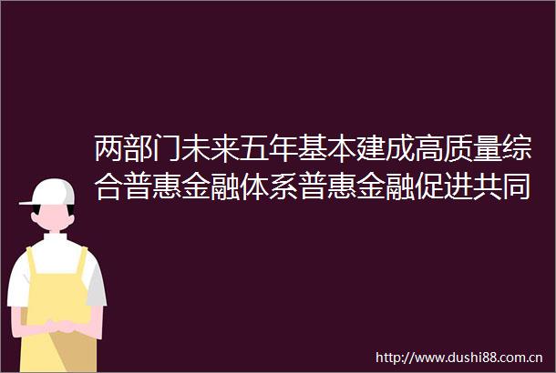 两部门未来五年基本建成高质量综合普惠金融体系普惠金融促进共同富裕迈上新台阶