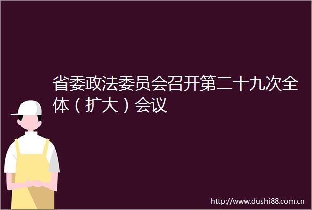 省委政法委员会召开第二十九次全体（扩大）会议