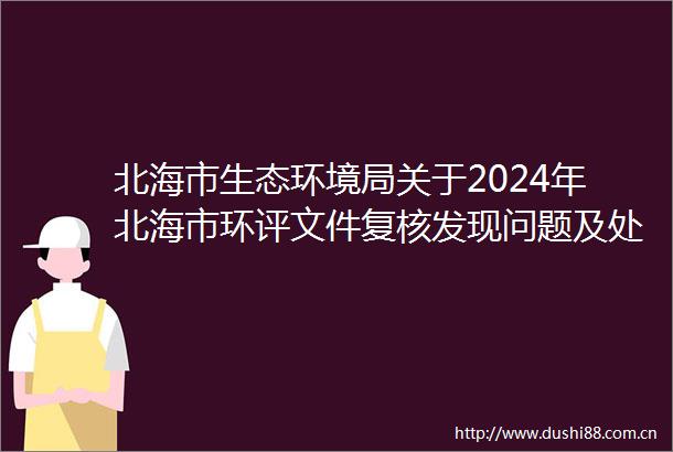 北海市生态环境局关于2024年北海市环评文件复核发现问题及处理意见的通报
