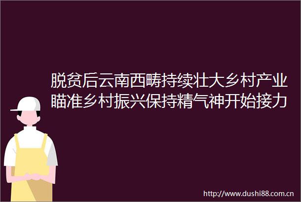脱贫后云南西畴持续壮大乡村产业瞄准乡村振兴保持精气神开始接力跑（脱贫故事）