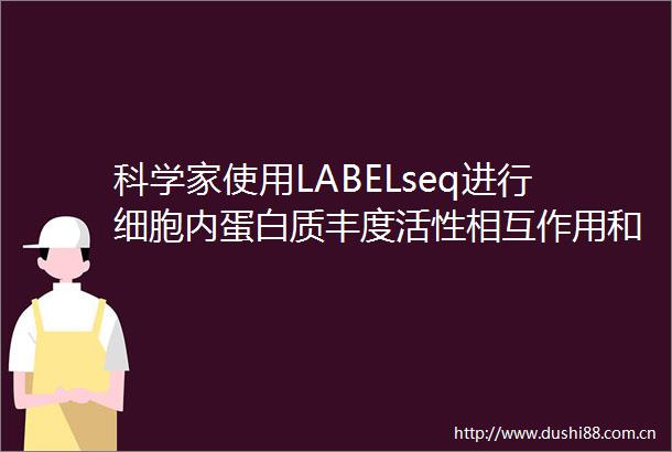 科学家使用LABELseq进行细胞内蛋白质丰度活性相互作用和可成药性的多重分析