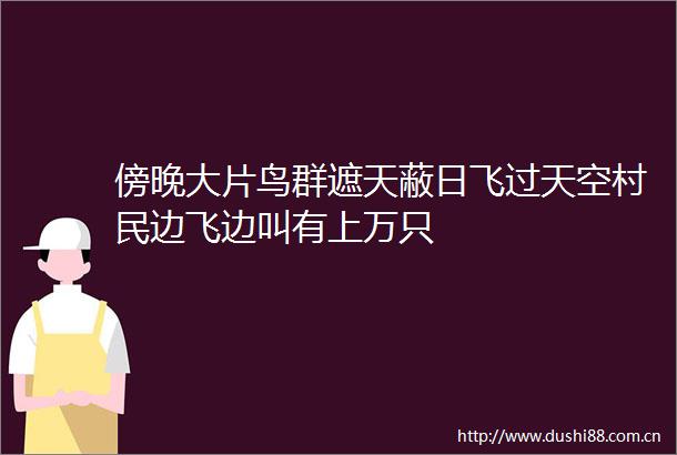 傍晚大片鸟群遮天蔽日飞过天空村民边飞边叫有上万只