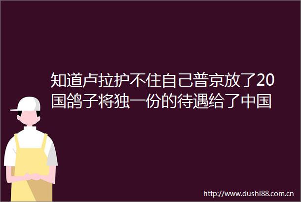 知道卢拉护不住自己普京放了20国鸽子将独一份的待遇给了