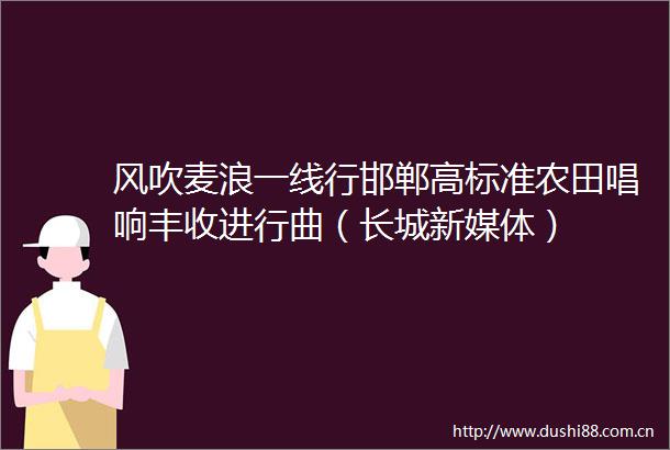 风吹麦浪一线行邯郸高标准农田唱响丰收进行曲（长城新媒体）